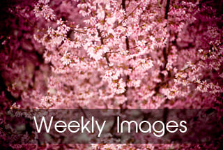 关于18K金成色为1.8811.7V和1.8的珠宝能否保存至相册的详细分析